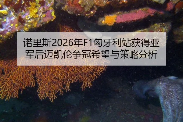 nuo-li-si-nian-xiong-ya-li-zhan-huo-de-ya-jun-hou-mai-kai-lun-zheng-guan-xi-wang-yu-ce-lve-fen-xi-3-579.jpg
